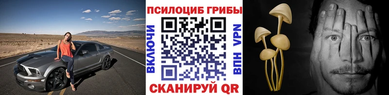 Галлюциногенные грибы мицелий Калтан